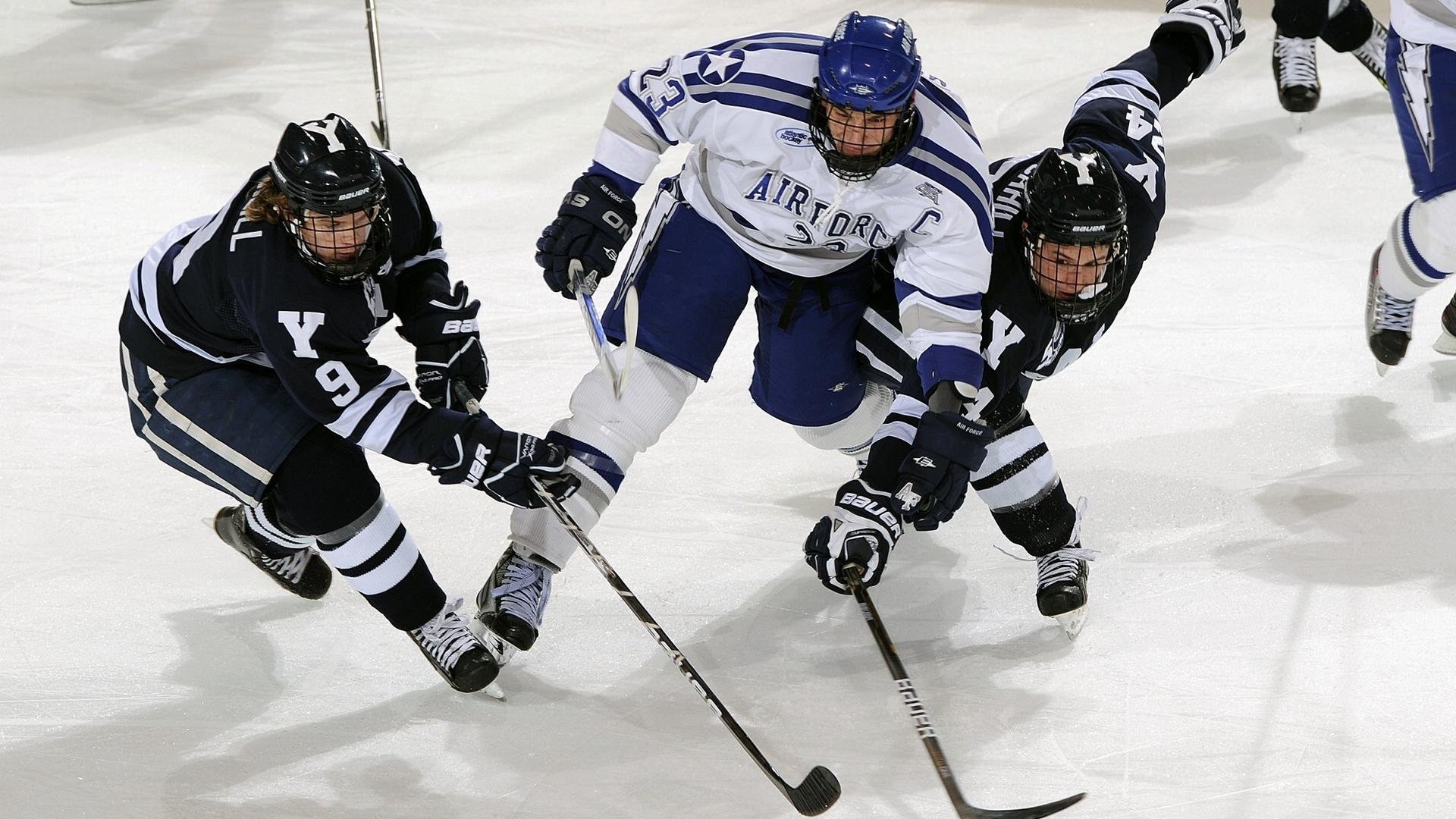 2026年世界综合格斗冠军赛 中量级统一战技惊裁判与观众