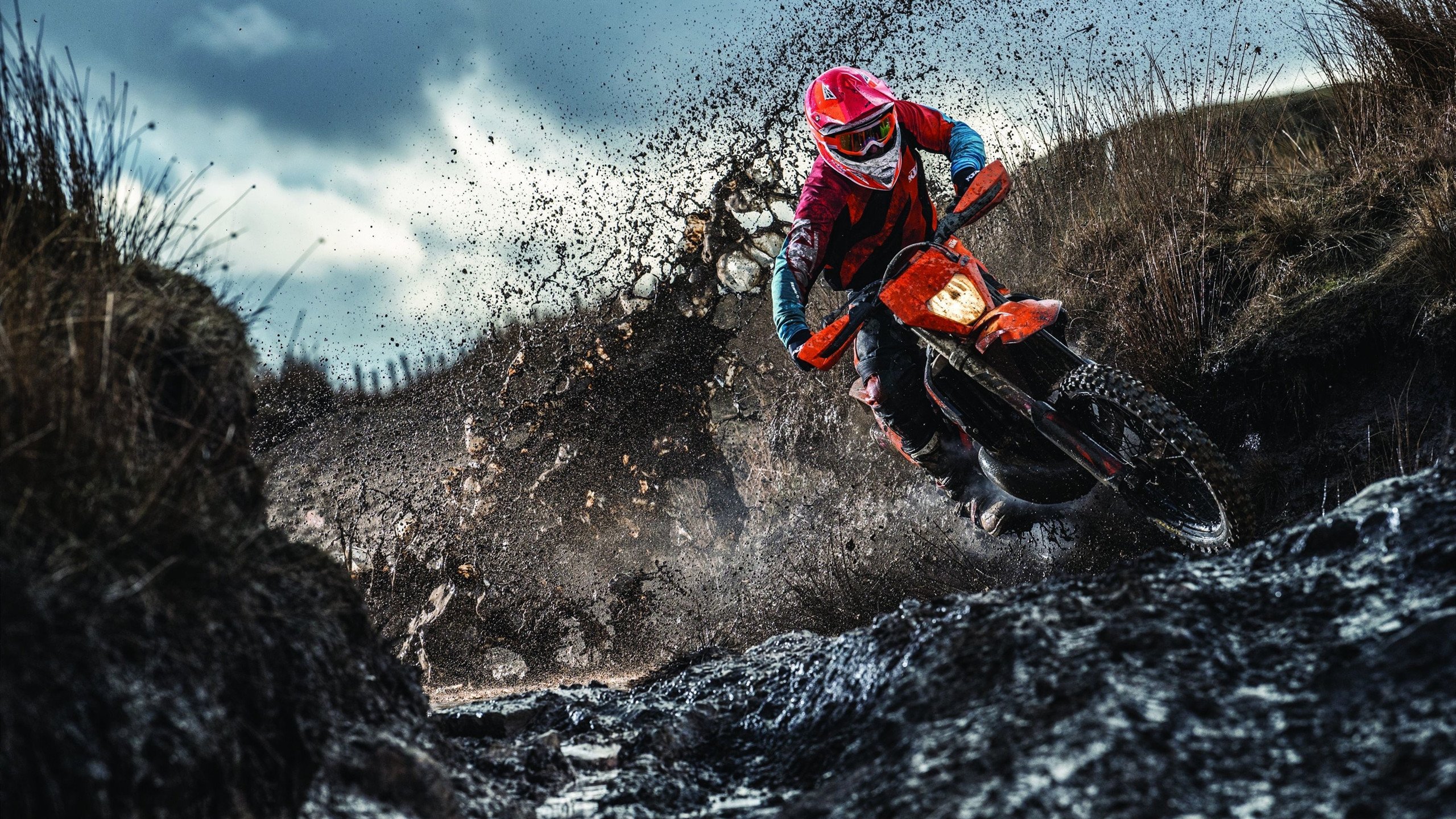 世界田联2026年拟建立全球青少年体测数据库 中国率先接入