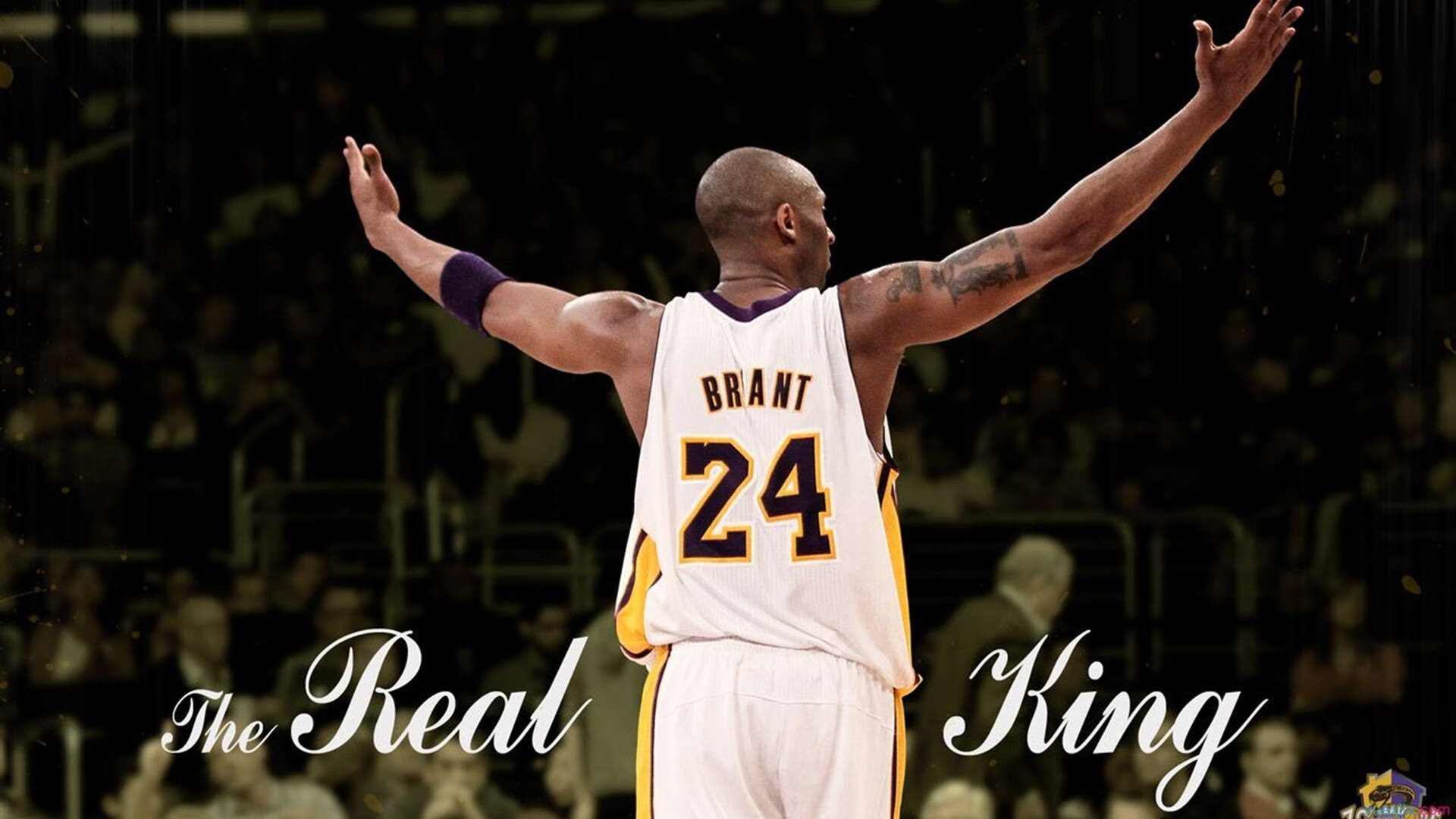 体育明星豪车豪宅